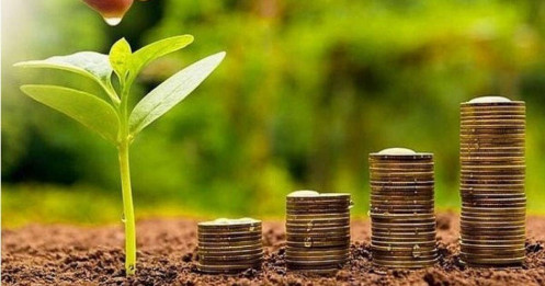 4 DN sắp trả cổ tức bằng tiền, tỷ lệ cao nhất 110%