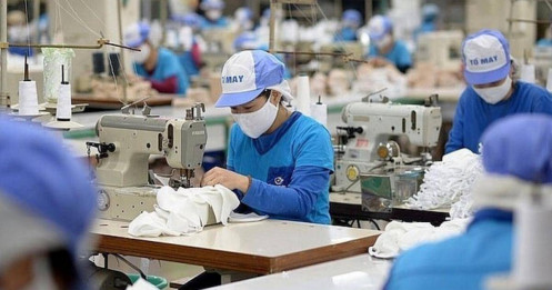 Thị Trường Lao Động Khởi Sắc: Thu Nhập Tăng Hơn 10%, Chất Lượng Việc Làm Cải Thiện Rõ Rệt