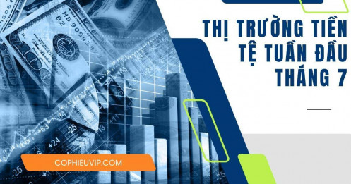 Thị trường tiền tệ tuần đầu tháng 7