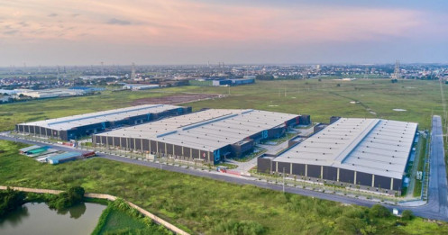 Bài viết HAY của chuyên gia