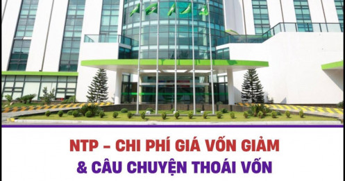NTP - Chi phí giá vốn giảm và câu chuyện thoái vốn