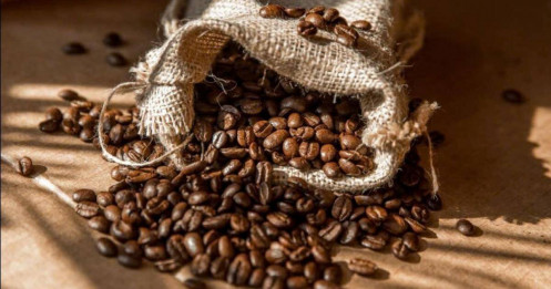 Cà phê ngày 10/7: Nguồn cung dồi dào, tăng tốc thu hoạch