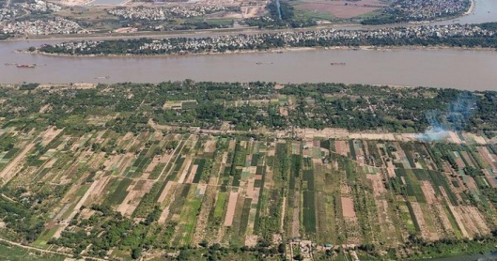 Đất bãi sông không còn là “vùng trũng”: Hà Nội kích hoạt tiềm lực nông nghiệp