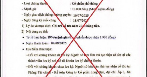 Văn bản chi cổ tức bị làm giả, HoSE ra cảnh báo về tài khoản 'Người Hải Phòng'