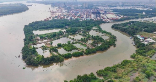 Chuyên gia lo đầu cơ nếu tăng giá đất nông nghiệp