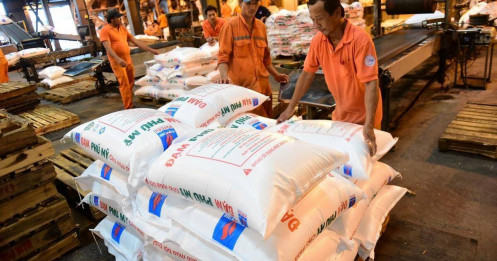 DPM - Chia thưởng “khủng” gần 89%, cơ hội hấp dẫn cho nhà đầu tư dài hạn