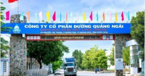 QNS - Nền tảng vững vàng, cổ phiếu hấp dẫn cho dài hạn (Kỳ 2)