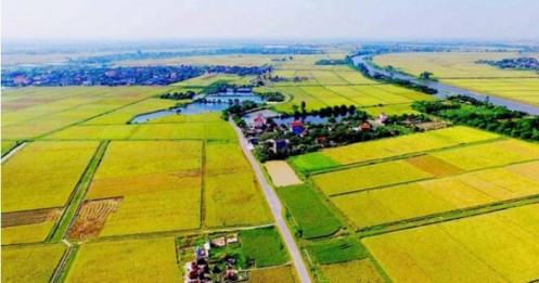 Chuyển đất nông nghiệp sang đất ở: Hoảng hốt tiền sử dụng đất cao đột biến