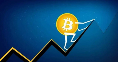 Bitcoin tiếp tục lập kỷ lục mới, hướng thẳng đến mốc 120.000 USD