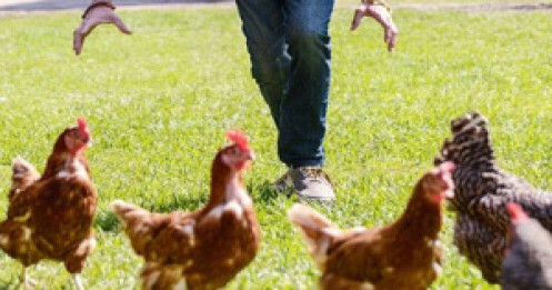 [VIDEO] Bóc phốt 10 dấu hiệu nhận biết đội nhóm "lùa gà" của môi giới BĐS