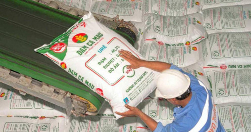 Đạm Cà Mau (DCM): Lãi vượt xa kế hoạch năm, đẩy mạnh khai thác thị trường Campuchia