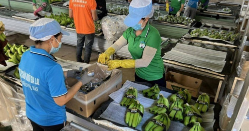 Sự hồi sinh thần kỳ của HAGL