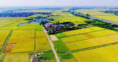 Chuyển đất nông thành đất ở: “Phí đổi đời” sắp giảm sâu?