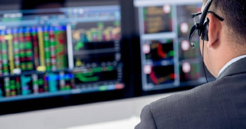 Sắc xanh nửa đầu 2025: Khi nhà đầu tư nhỏ làm nên chuyện lớn