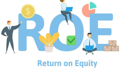 Tại sao ROE và tỷ lệ nợ/vốn chủ sở hữu thường gây hiểu lầm lớn?