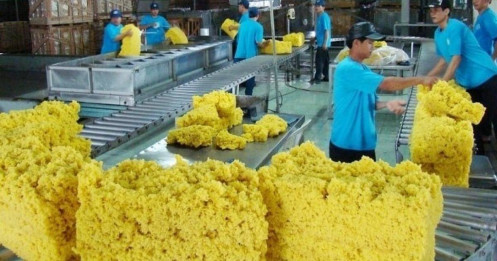 Cuộc chiến thuế quan toàn cầu: Cơ hội cho ngành công nghiệp cao su Việt Nam