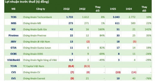 Nhóm CTCK vốn hóa vừa và nhỏ dần hé lộ KQKD quý 2, một công ty lãi tăng trên 80%