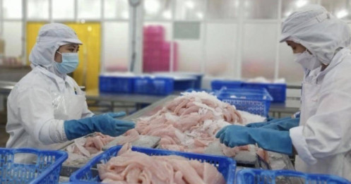 Trung Quốc vượt Mỹ thành nhà nhập khẩu thủy sản lớn nhất của Việt Nam