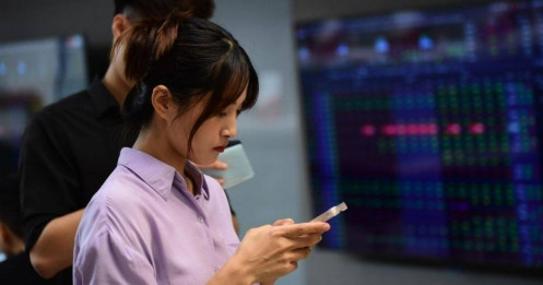 Sau hai năm đổ tiền, 95% nhà đầu tư cá nhân rút lui trong thua lỗ