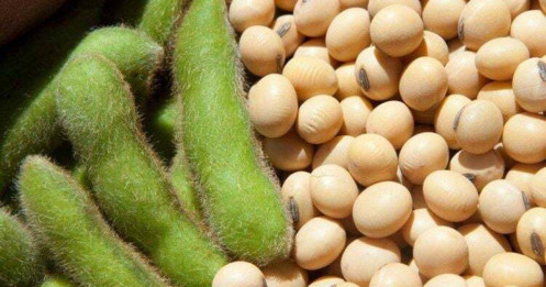 Tích lũy cho pha tăng mới, chiến lược bắt đáy nông sản