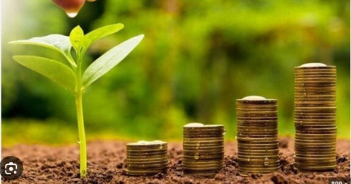 Lịch chốt quyền trả cổ tức của 8 doanh nghiệp