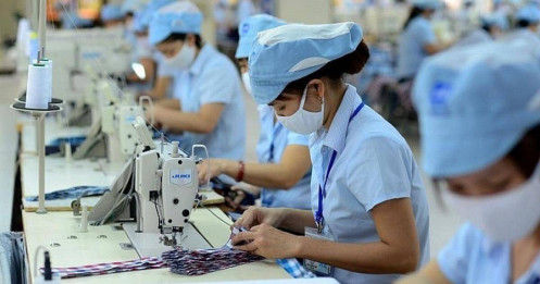 Cổ phiếu dệt may nào sẽ bứt tốc?