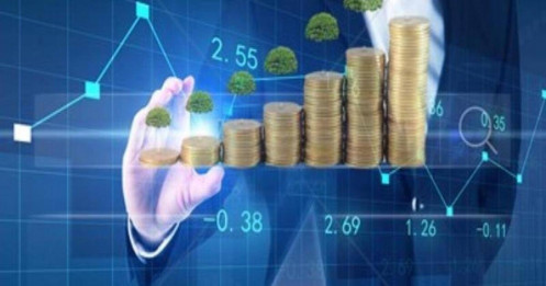 Các quỹ hạ tỷ trọng tiền mặt, quỹ trái phiếu có hiệu suất cao hơn