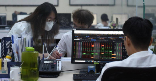 Khi tiền rẻ tràn vào: Chứng khoán tăng thật hay tăng ảo?