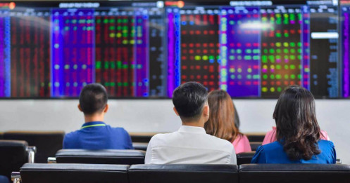 Bài viết HAY của chuyên gia
