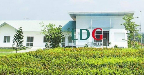 LDG: Tiếp tục giải trình về cổ phiếu tăng trần