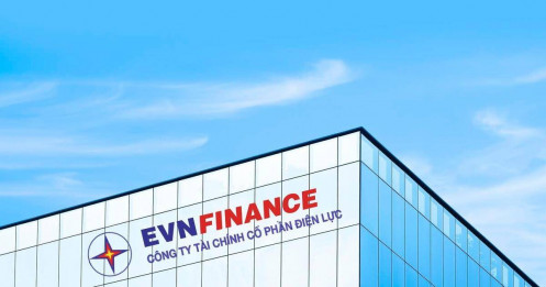 Bài viết HAY của chuyên gia