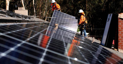 Làn sóng sa thải nhân sự ở các công ty điện mặt trời Mỹ