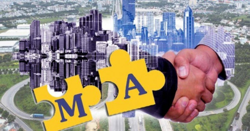 Không còn ‘cá lớn nuốt cá bé’ trên đường đua M&A bất động sản?