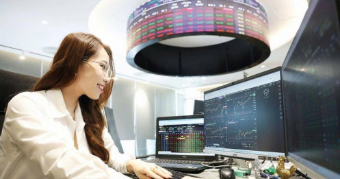 Thị trường lên đỉnh – Nhà đầu tư có kịp leo?