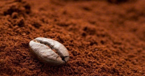 Giá cà phê 22/07: Đồng loạt giảm mạnh, tâm điểm dồn về căng thẳng thuế xuất khẩu