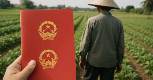 Vì sao phải tăng giá đất nông nghiệp?