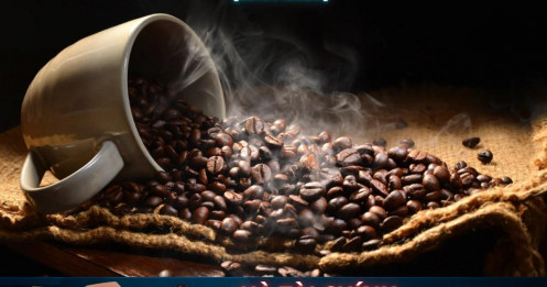 Thị trường cà phê 23/07: Giá nội địa tăng mạnh – Tâm điểm vẫn là thuế quan Mỹ – Brazil