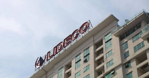 Phó Chủ tịch NTL muốn nâng tỷ lệ sở hữu lên 14,76%