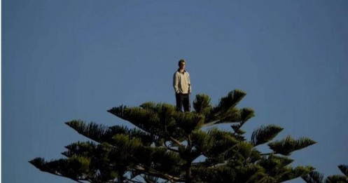 Để chữa bệnh 'full tiền', NĐT nên làm gì?