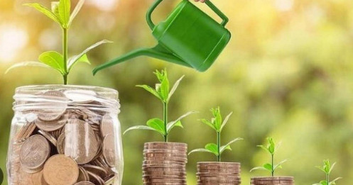 Lịch chốt quyền nhận cổ tức bằng tiền của 6 doanh nghiệp