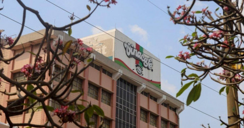 Vinacafé Biên Hòa lãi gần 1,4 tỷ/ngày, giá cổ phiếu siêu đắt đỏ