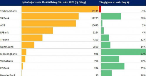 Cập nhật lợi nhuận 10 ngân hàng 6 tháng đầu năm 2025