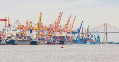 Doanh nghiệp ngành cảng biển: Lợi nhuận phân hóa trong 6 tháng đầu năm 2025