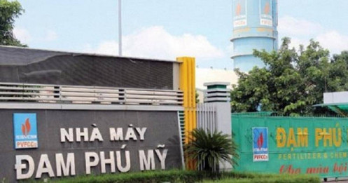DPM – Tăng Tốc Mạnh Mẽ Trong Nửa Đầu 2025, Sẵn Sàng Bứt Phá Dài Hạn