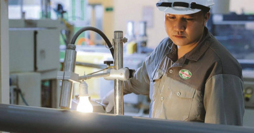 NTP bứt phá lợi nhuận – cuộc chơi sắp đổi chủ?