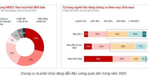 Lộ diện 'ngôi vương' của thị trường BĐS nửa đầu năm 2025