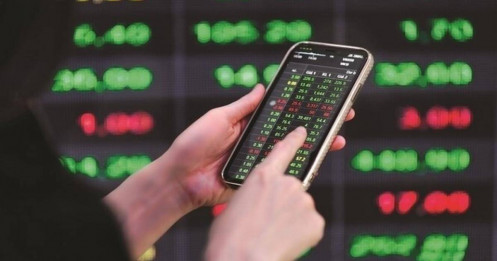 Nhịp rung lắc là cơ hội cho nhà đầu tư có tỉ trọng tiền mặt cao?