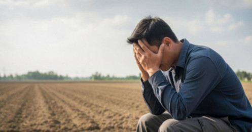 Vỡ nợ trăm tỷ vì bỏ kinh doanh phân bón đi buôn đất làm giàu