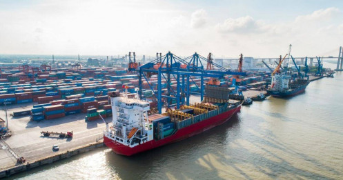 Lợi nhuận doanh nghiệp cảng biển: Kẻ thắng lớn, người ngậm ngùi