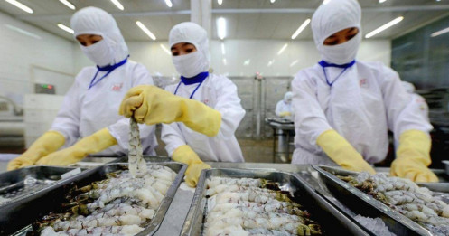 Thực phẩm Sao Ta (FMC): Trích lập thuế đối ứng, chống trợ cấp, lãi quý 2 vẫn tăng 22%